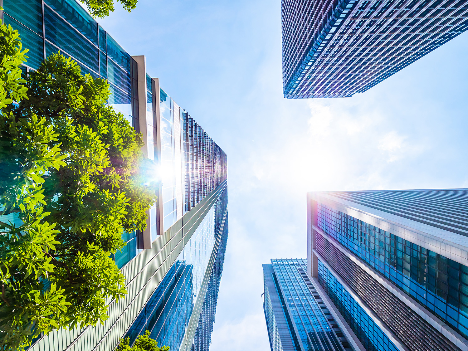 Guía de Financiamiento Verde 2025: lo que necesitas saber para construir edificios sostenibles en México